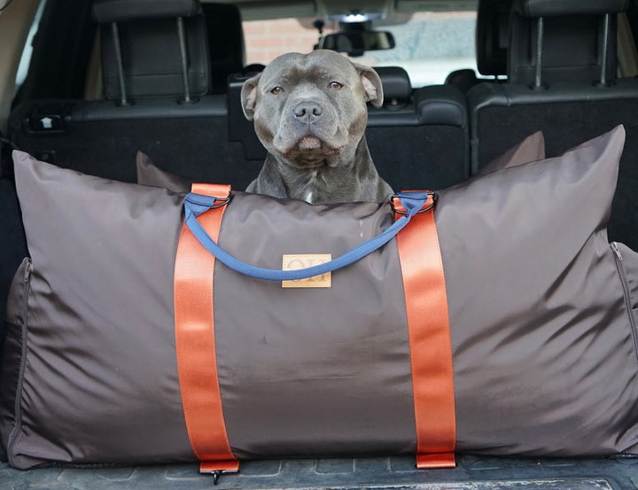 Outward Hound Luxury Large Dog Travel Seat