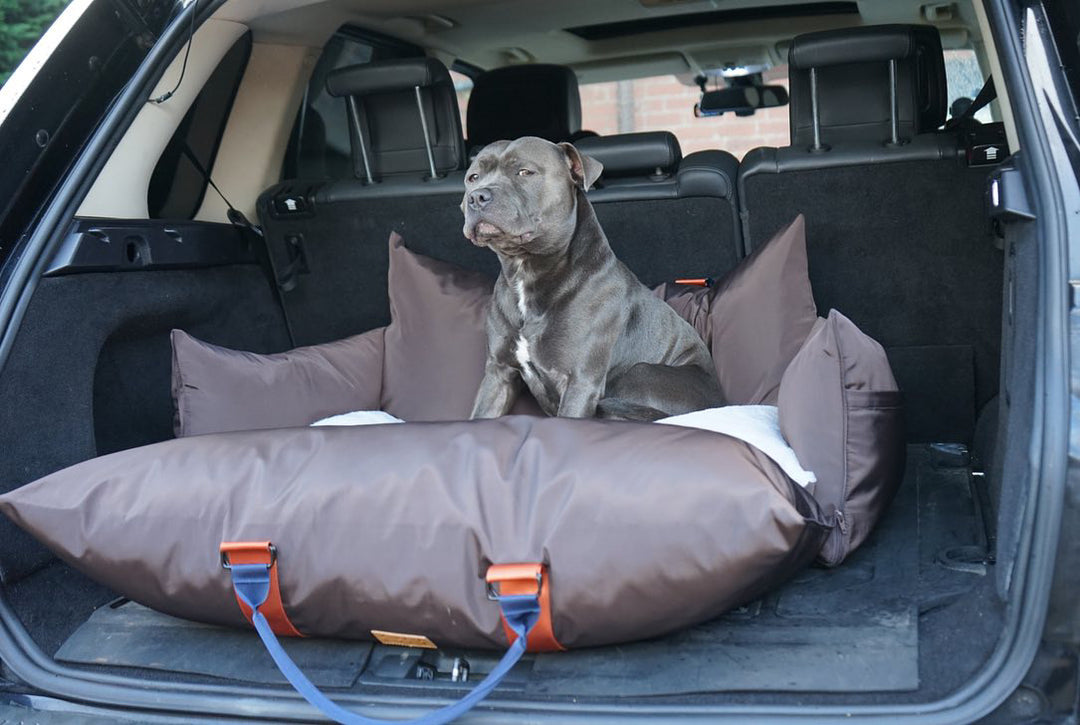 Outward Hound Luxury Large Dog Travel Seat